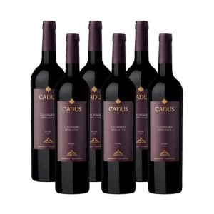 247-Cadus-Tupungato-Appellation-Malbec-CAJA-x-6-un