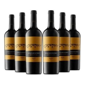 45-Rutini-Encuentro-Malbec-CAJA-x-6-un
