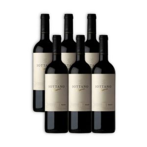 569- Sottano Reserva Malbec CAJA x 6 un