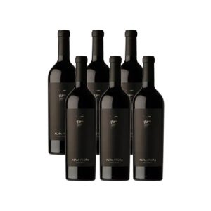 Alma Negra Tinto CAJA x 6 un